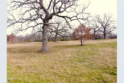 14022 Whatley Drive, Streetman, TX 75859 - Photo 2