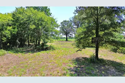 2818 County Road 2331, Como, TX 75431 - Photo 4
