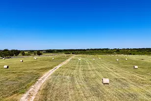 7255 Co Rd 124, San Saba, TX 76877 - Photo 10
