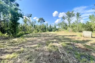 8262 US Hwy 84 W, Mount Enterprise, TX 75681 - Photo 32