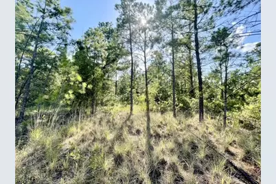 8262 US Highway 84 W, Mount Enterprise, TX 75681 - Photo 30