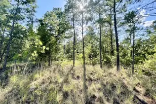 8262 US Hwy 84 W, Mount Enterprise, TX 75681 - Photo 30