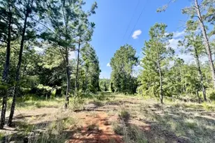 8262 US Hwy 84 W, Mount Enterprise, TX 75681 - Photo 26