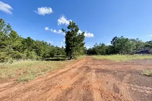 8262 US Hwy 84 W, Mount Enterprise, TX 75681 - Photo 28