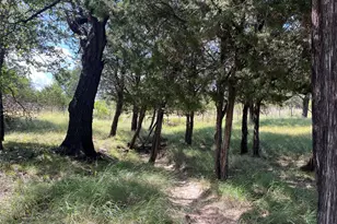 895 Co Rd 2480, Hico, TX 76457 - Photo 22