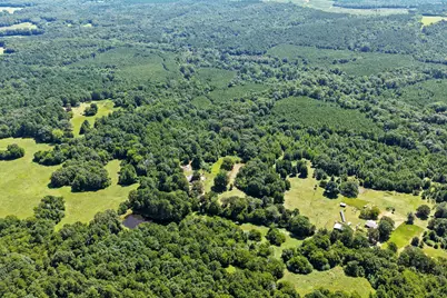 1710 County Road 2928, Hughes Springs, TX 75656 - Photo 32