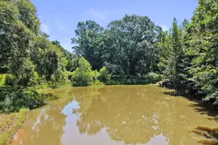 1710 Co Rd 2928, Hughes Springs, TX 75656 - Photo 26