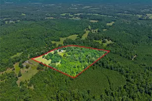 1710 Co Rd 2928, Hughes Springs, TX 75656 - Photo 36