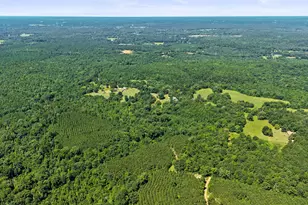 1710 Co Rd 2928, Hughes Springs, TX 75656 - Photo 32