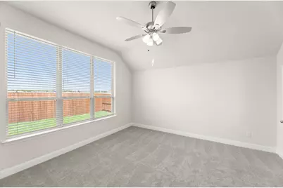 117 Meadow Road, Balch Springs, TX 75181 - Photo 22