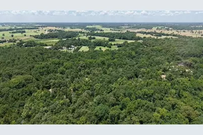 1595 County Road 4112, Canton, TX 75103 - Photo 6