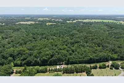 1595 County Road 4112, Canton, TX 75103 - Photo 2