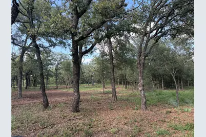 10979 County Road 401, Dublin, TX 76446 - Photo 4