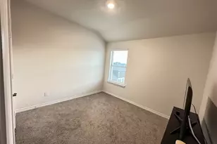 809 Lone Rock Dr, Anna, TX 75409 - Photo 10