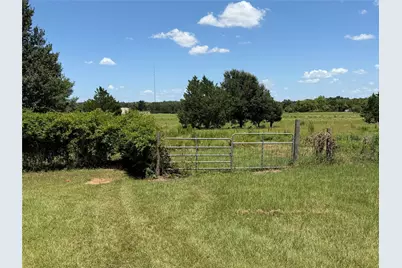 438 Lcr 864, Jewett, TX 75846 - Photo 4