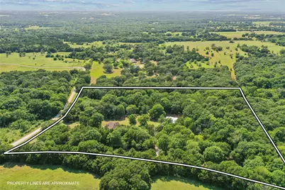 1433 Old Sadler Road, Sadler, TX 76264 - Photo 40