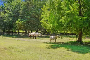 1433 Old Sadler Rd, Sadler, TX 76264 - Photo 4