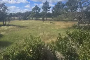 134 Private Rd 1989, Chico, TX 76431 - Photo 10