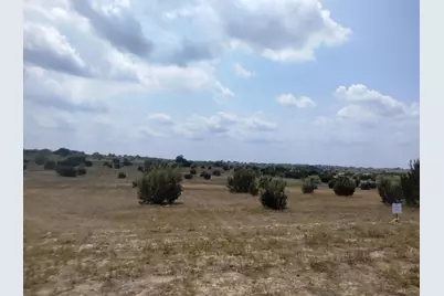 514 Hollow Drive, Lipan, TX 76433 - Photo 2