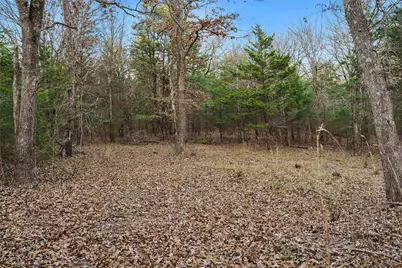 344 Rs County Road 4254, Point, TX 75472 - Photo 8