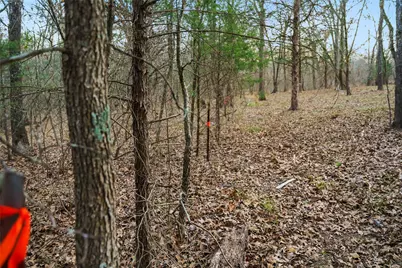 344 Rs County Road 4254, Point, TX 75472 - Photo 12