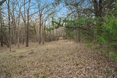 344 Rs County Road 4254, Point, TX 75472 - Photo 6