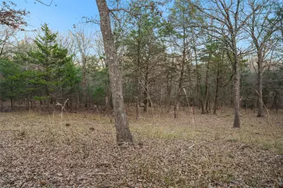 344 Rs County Road 4254, Point, TX 75472 - Photo 2