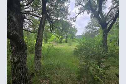 Lot 913 Cinnamon Teal, Graford, TX 76449 - Photo 6