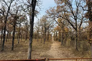 800 Private Rd 1485, Hico, TX 76457 - Photo 30