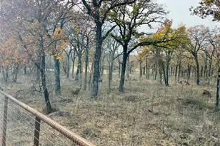 800 Private Rd 1485, Hico, TX 76457 - Photo 26