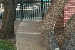 8601 Park Ln, Dallas, TX 75231 - Photo 20