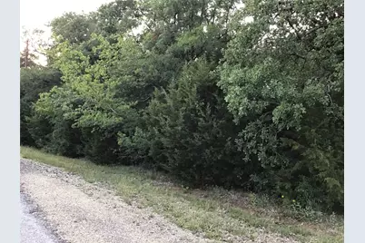 44021 Fringewood Drive, Whitney, TX 76692 - Photo 2