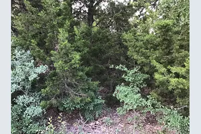 44021 Fringewood Drive, Whitney, TX 76692 - Photo 6