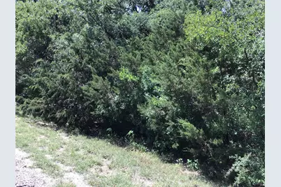 44021 Fringewood Drive, Whitney, TX 76692 - Photo 12
