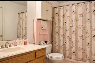 [Address not provided], Cedar Hill, TX 75104 - Photo 10