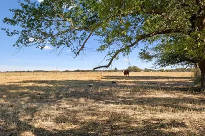 777 Lcr 463, Mexia, TX 76667 - Photo 34