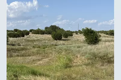706 Rory Crossing, Lipan, TX 76462 - Photo 4