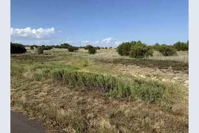 706 Rory Crossing, Lipan, TX 76462 - Photo 2