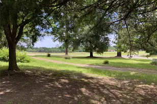 16926 Co Rd 4336, LaRue, TX 75770 - Photo 10