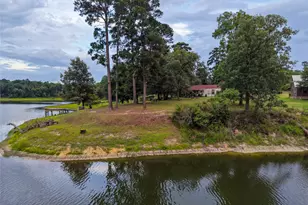1411 Raintree Lakes Cir, Big Sandy, TX 75755 - Photo 26