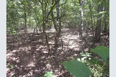 0000 Wildwood, Murchison, TX 75778 - Photo 6