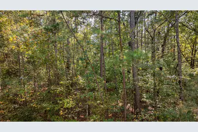 Tbd County Road 4558, Winnsboro, TX 75494 - Photo 14