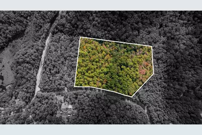 Tbd County Road 4558, Winnsboro, TX 75494 - Photo 16