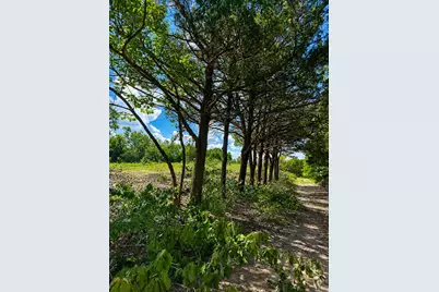 1264 Red Moore Road, Whitewright, TX 75491 - Photo 4