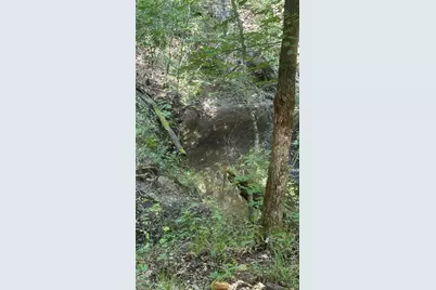 000 E Farm Road 71, Dike, TX 75437 - Photo 6