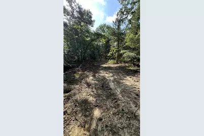 000 E Farm Road 71, Dike, TX 75437 - Photo 4