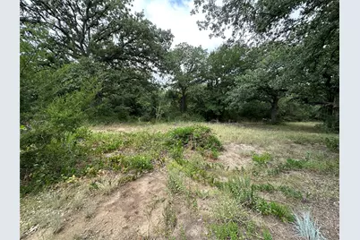 176 Live Oak Road, Springtown, TX 76082 - Photo 12
