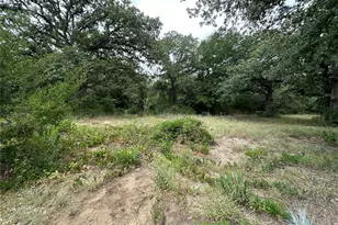 176 Live Oak Rd, Springtown, TX 76082 - Photo 12