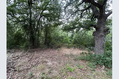 176 Live Oak Road, Springtown, TX 76082 - Photo 14