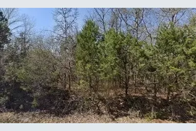 6210 Texas Trail, Granbury, TX 76048 - Photo 1
